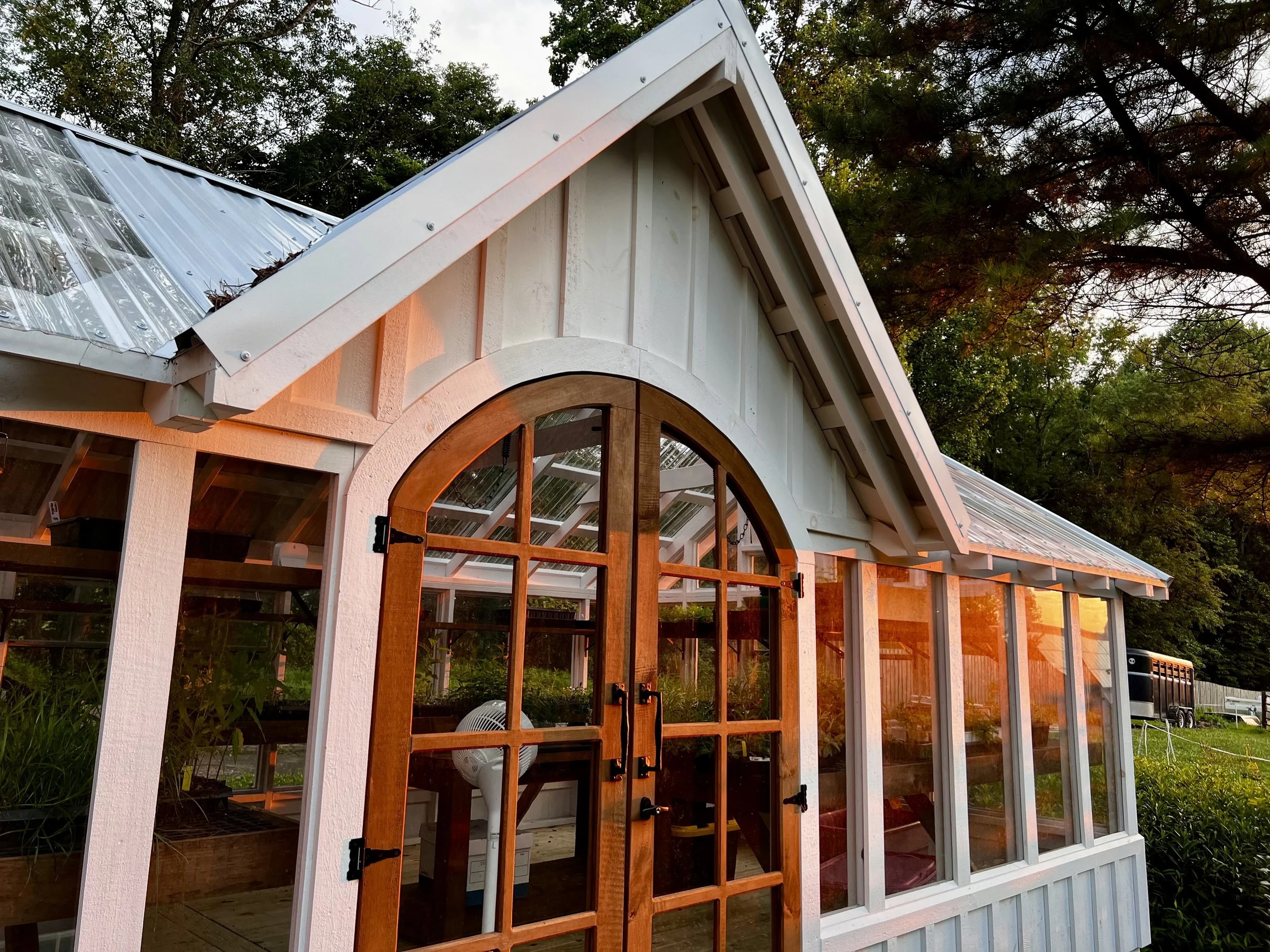 A summer sunset at the nursery.