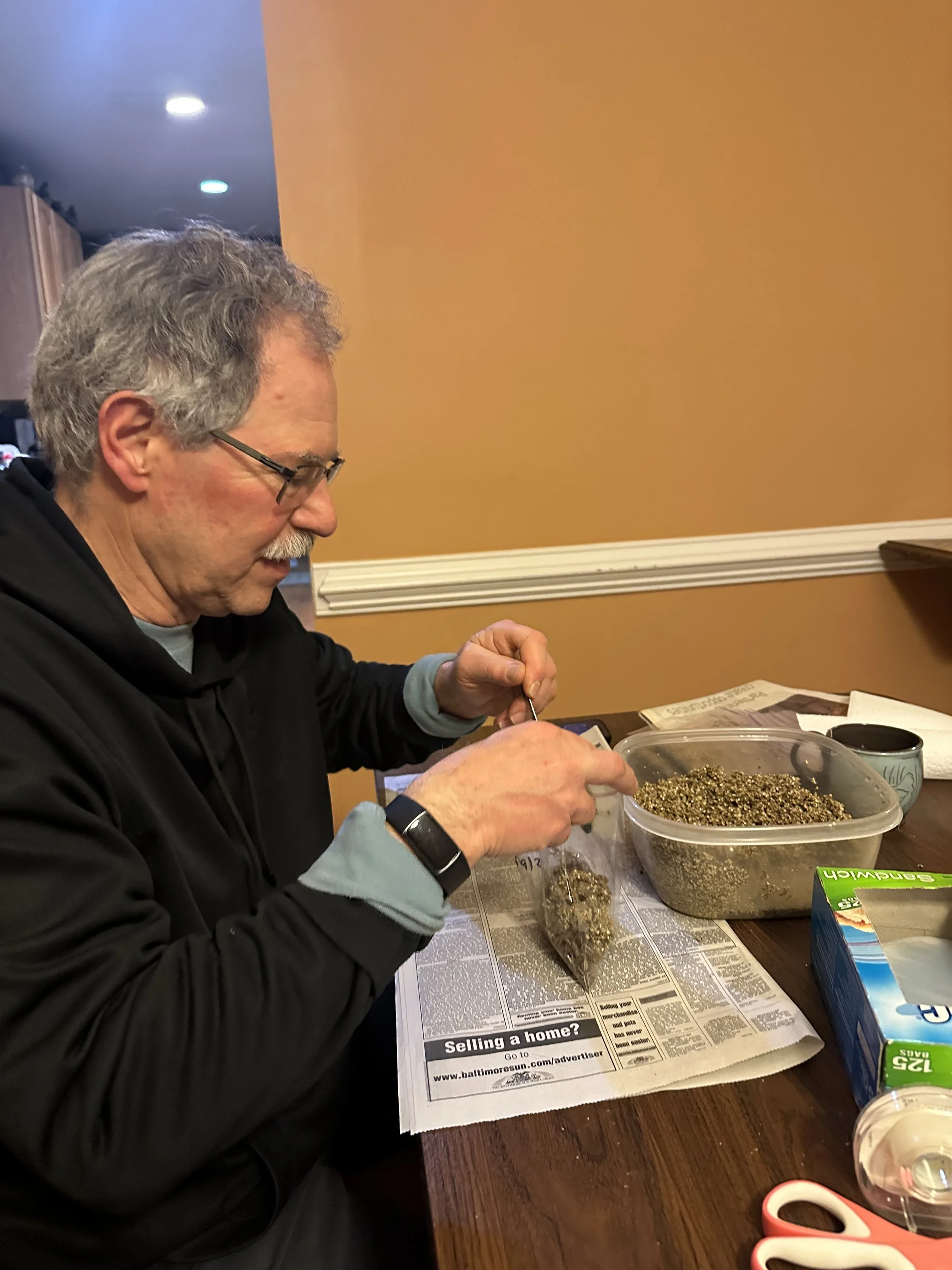 Jeff takes vermiculite duty on stratification day - a dirty job but someone's gotta do it!