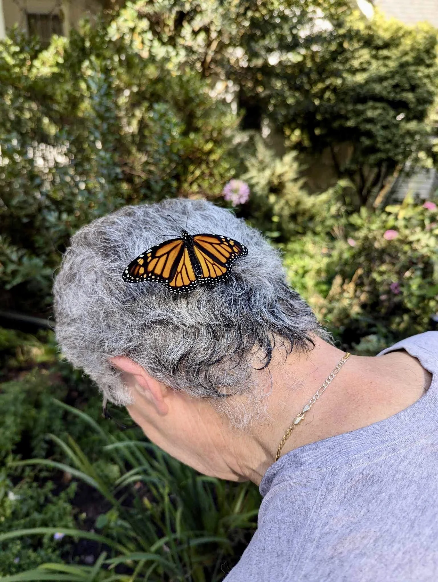 A Monarch thanking Jeff with a hug!