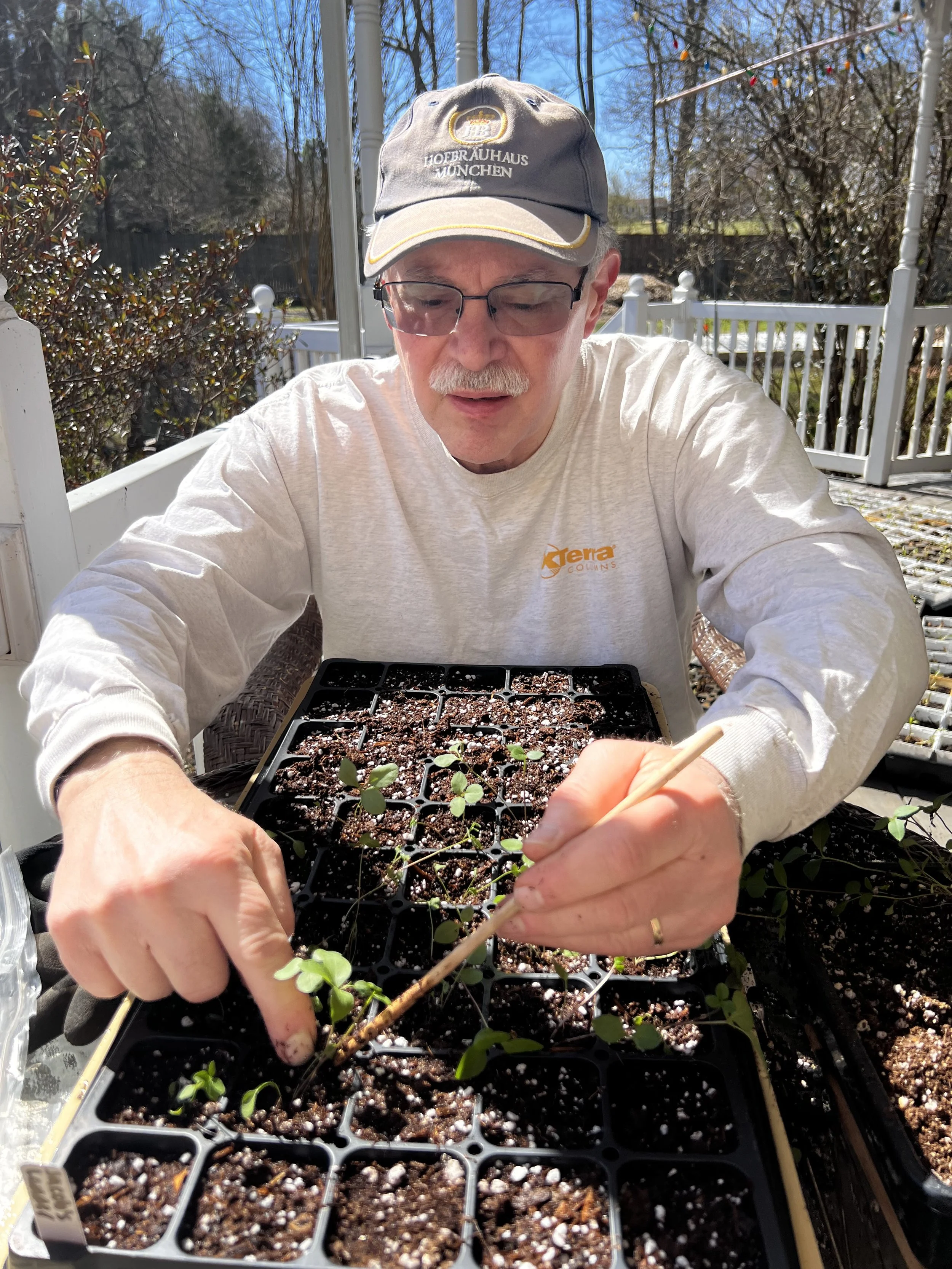 Jeff transplants some of our first seedlings.