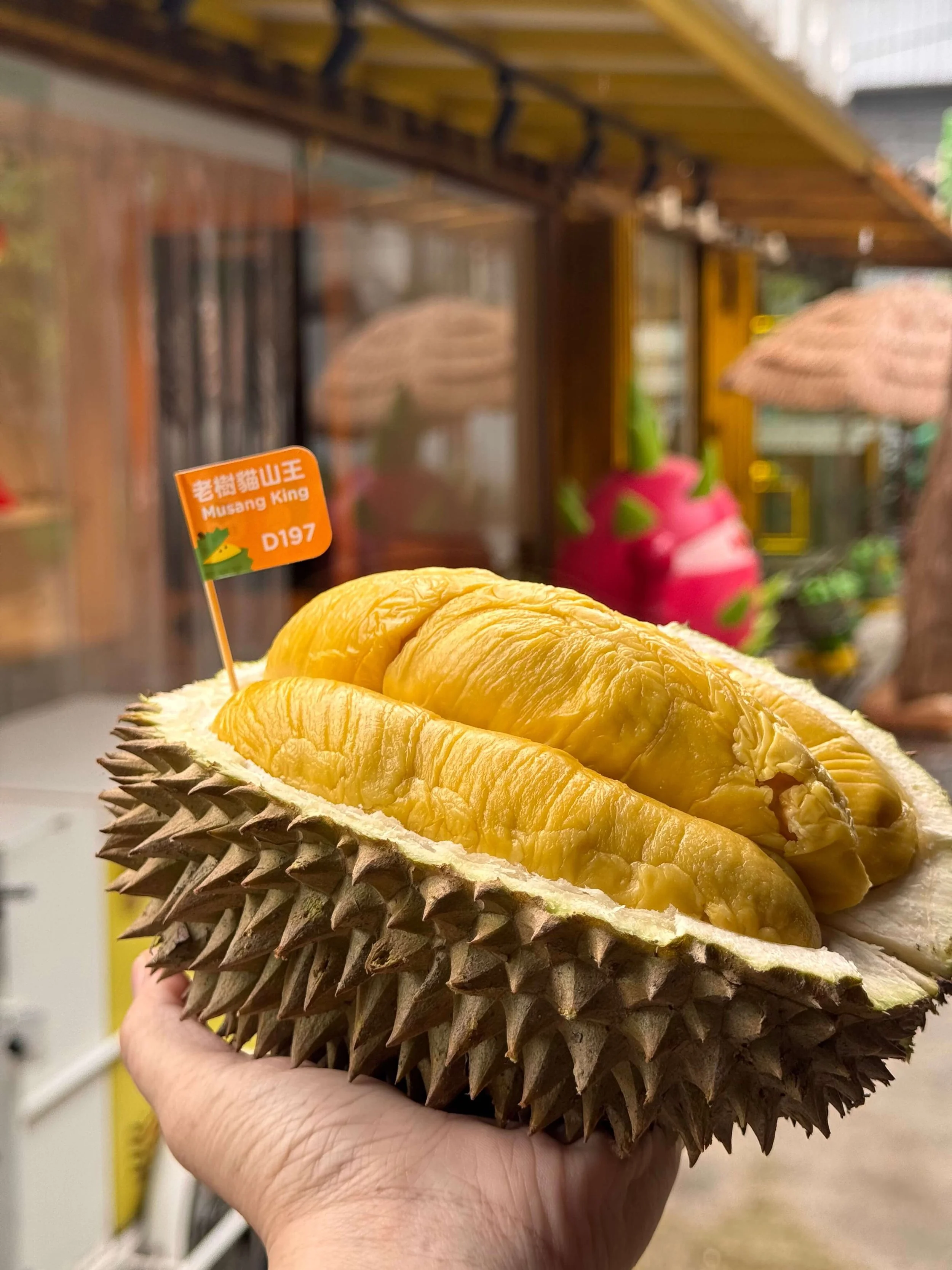 Musang King Durian