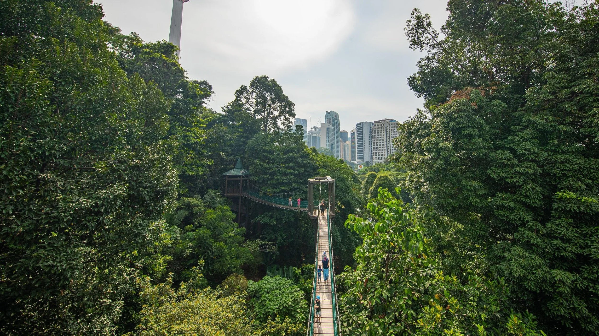 KL Eco Forest