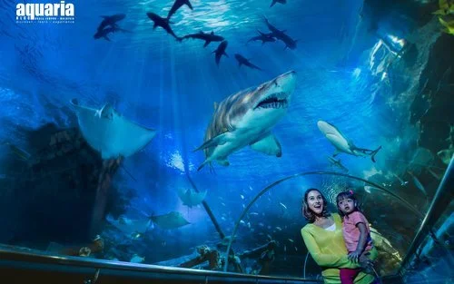 A woman holding a child at an aquarium viewing window with various sharks and fish swimming outside.