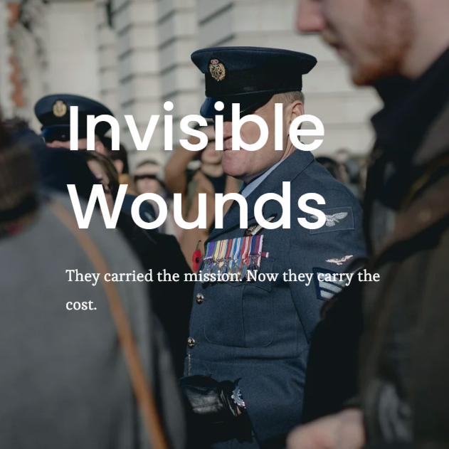 After the Battle: The Silent War Veterans Face at Home