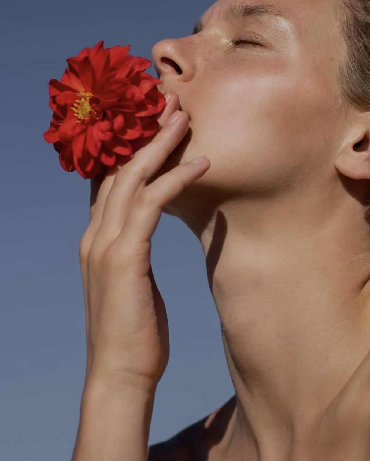 Screenshot 2025-11-13 at 10.39.04 AM.png