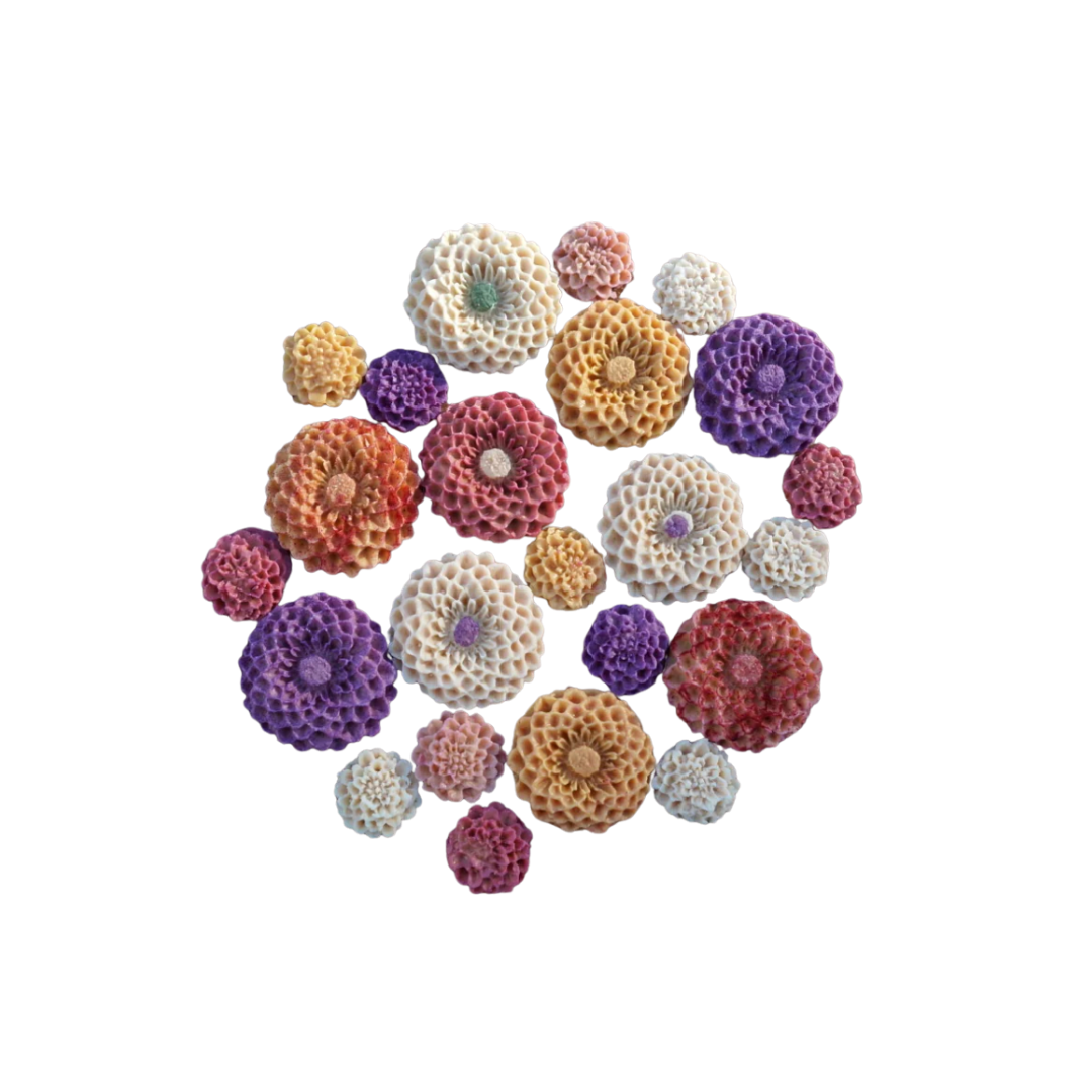 Dahlias Set.png