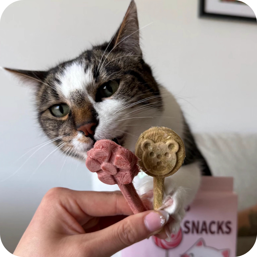 Petit Pawtisserie Lollipops.png