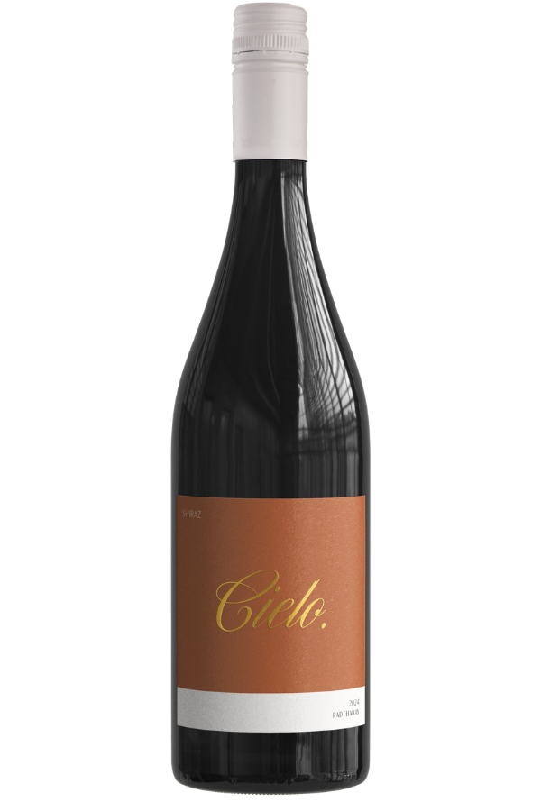 Olea Shiraz 2024, Padthaway, South Australia