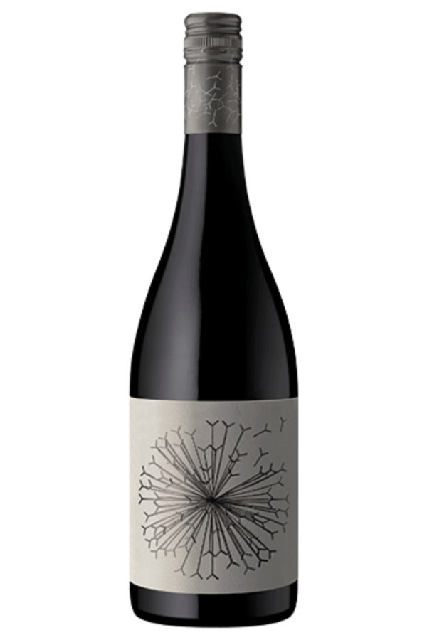 Dandelion Vineyards Lion’s Tooth Shiraz Riesling 2024, McLaren Vale