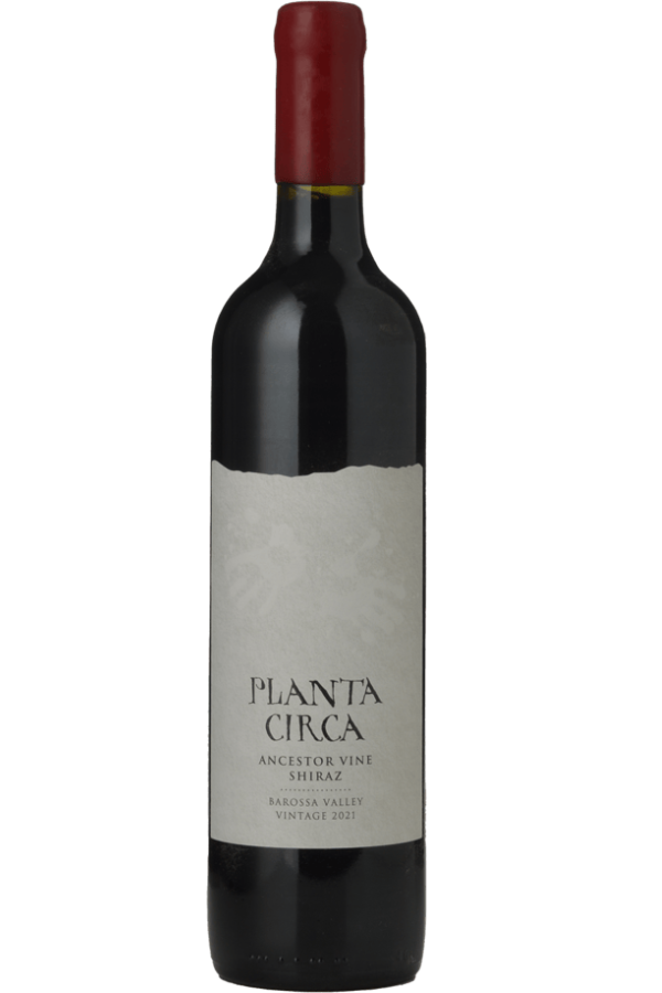 Planta Circa Ancestor Vine Shiraz 2024, Barossa Valley