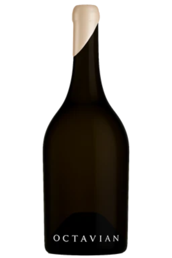 Curtis Octavian Shiraz 2022, McLaren Vale