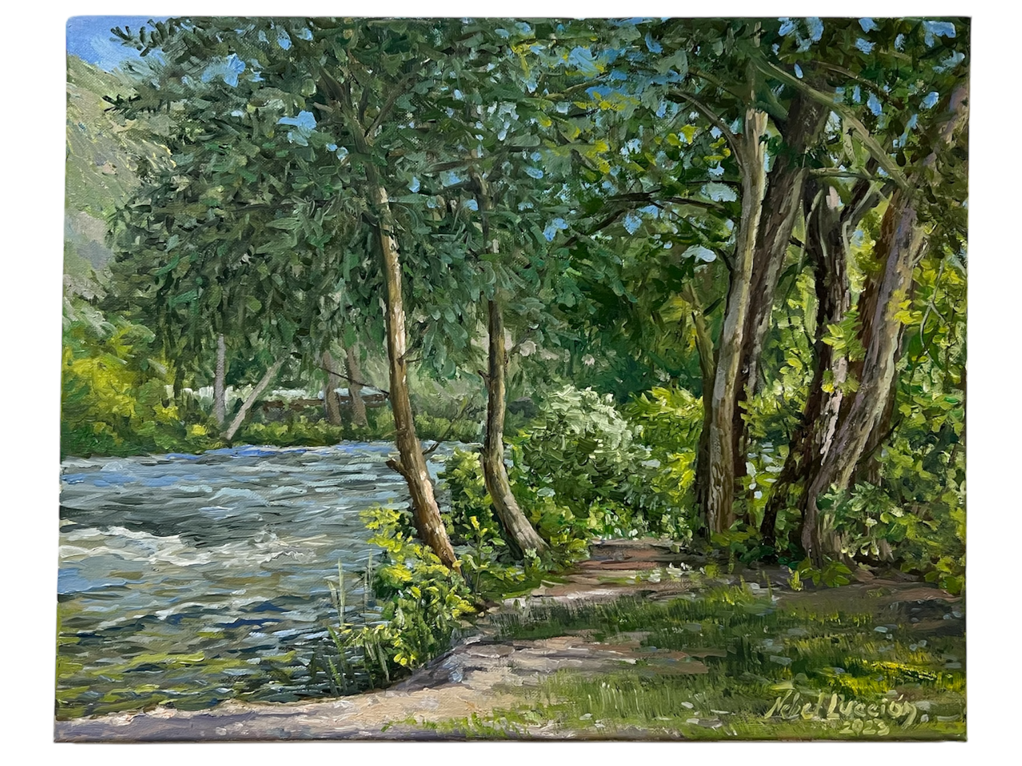 Photoroom_20251208_151134.png