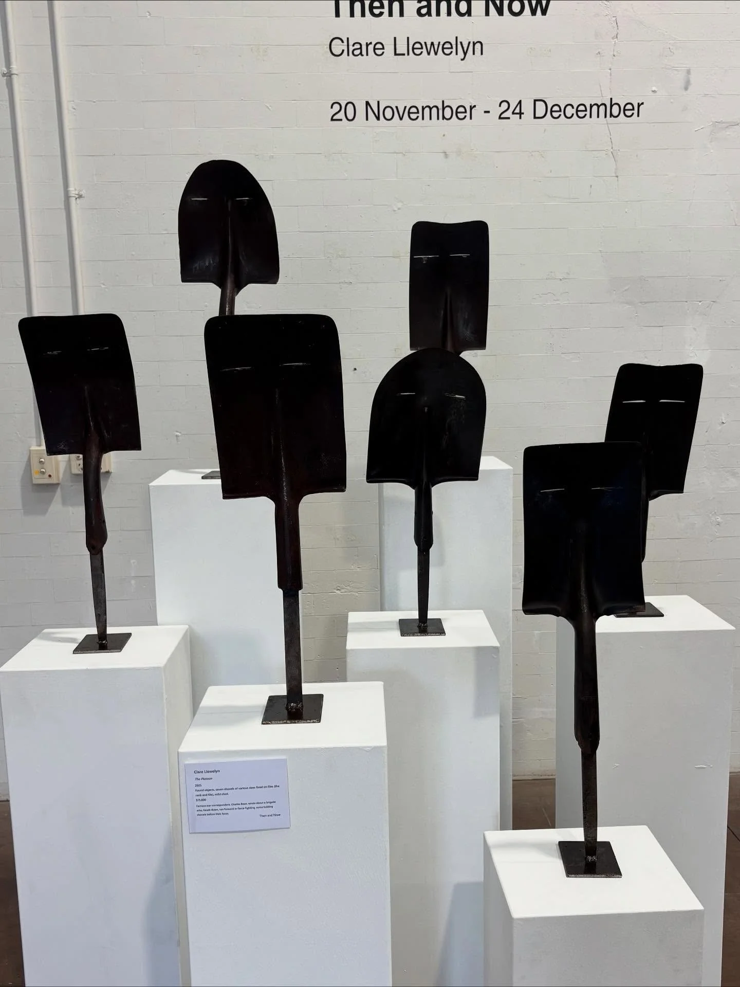 #thenandnow Clare Llewelyn at the #cooroybutterfactoryartscentre A yin and yang coming together of opposites and emotions. Thought provoking and beautiful.