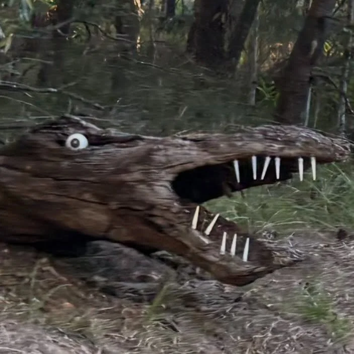 And the Drop Bear Award 2026 for art in a public space goes to&hellip;. Who says there are no crocs in Noosa?