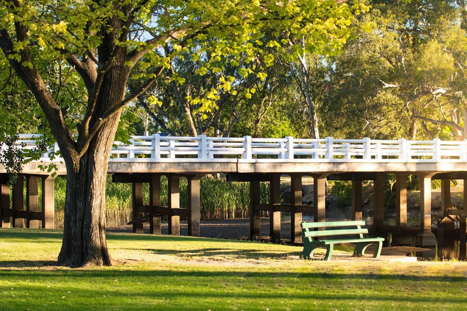 Seven_Creeks_Park_Euroa_Victoria_WEB.jpg