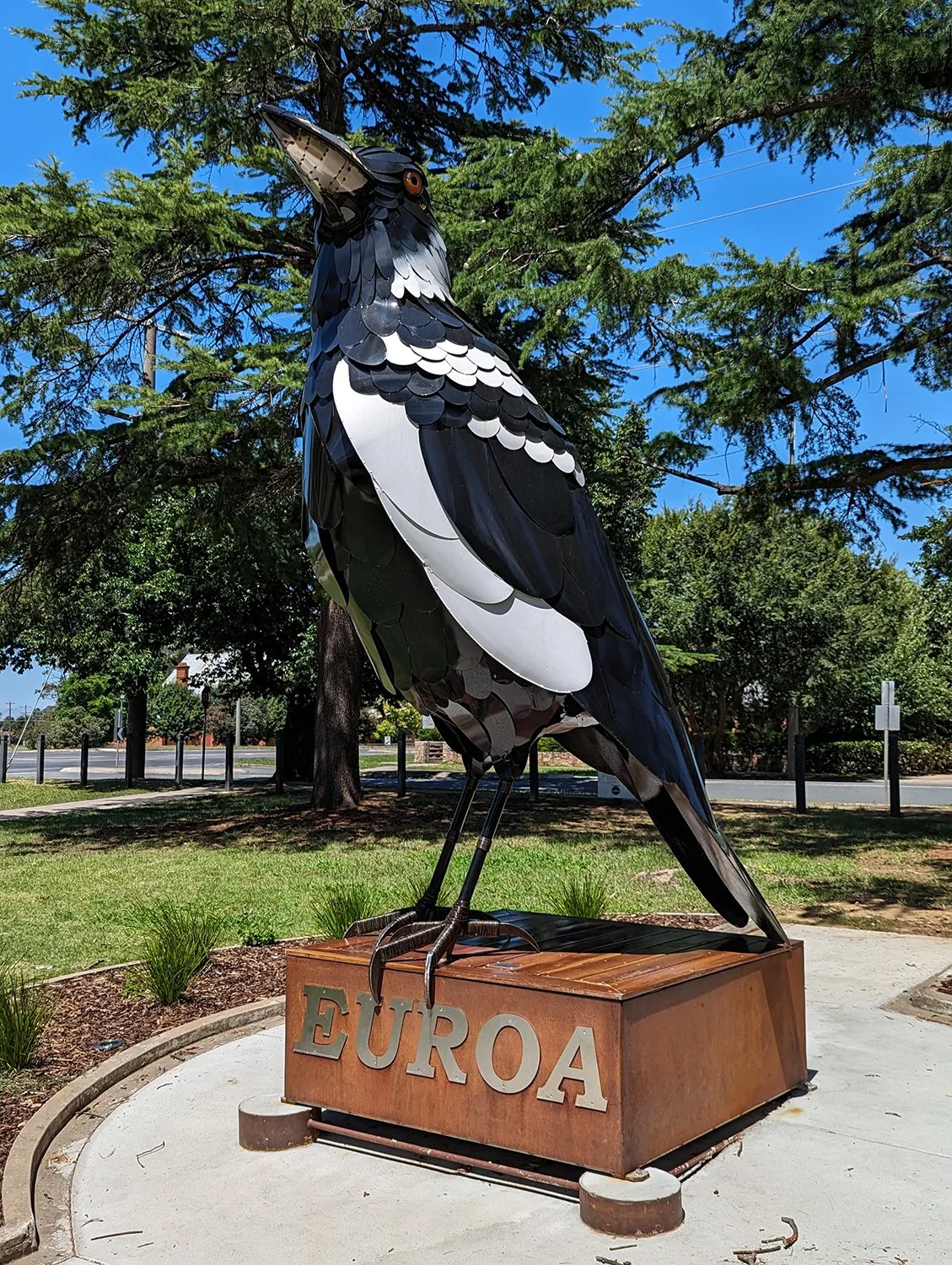 Big_Magpie_Euroa_WEB.jpg