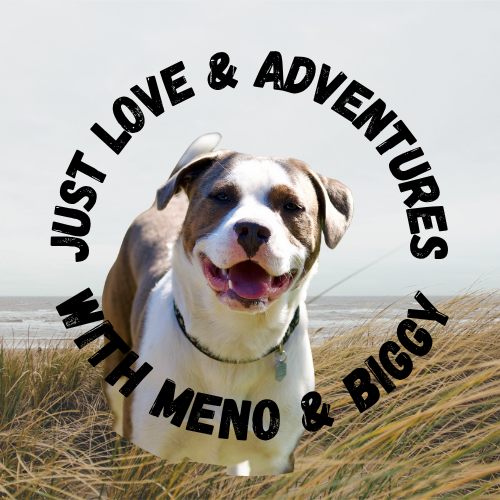 Just Love &amp; Adventures with Meno &amp; Biggy