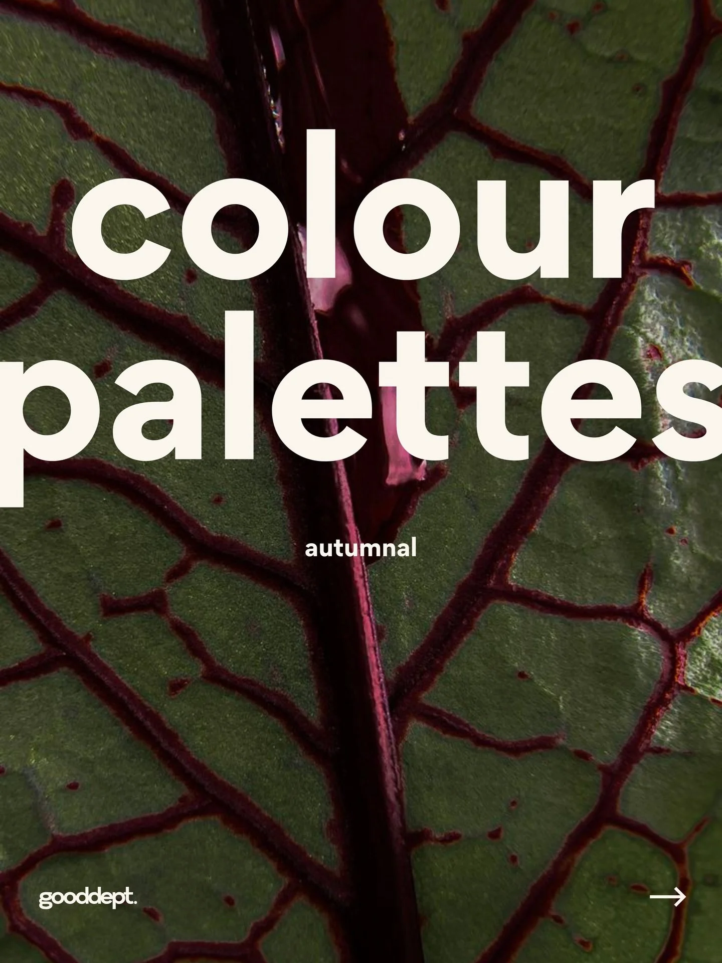 Autumn is here with so much colour palette inspiration 🤍

#colourpalette #colourpalettes #colourpaletteinspiration #colorpalette #colorpalettes