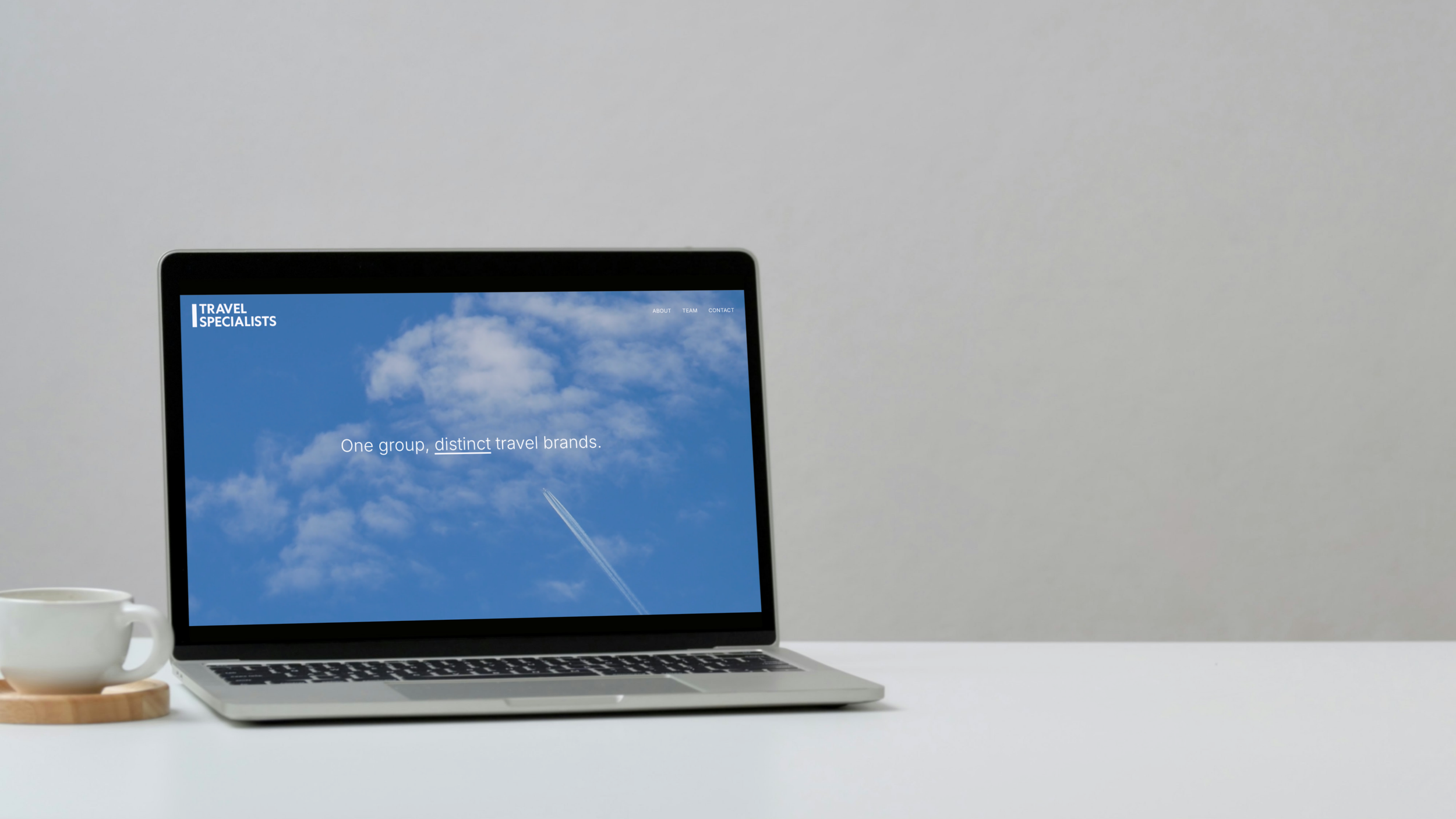 travelspecialistshomepage.png