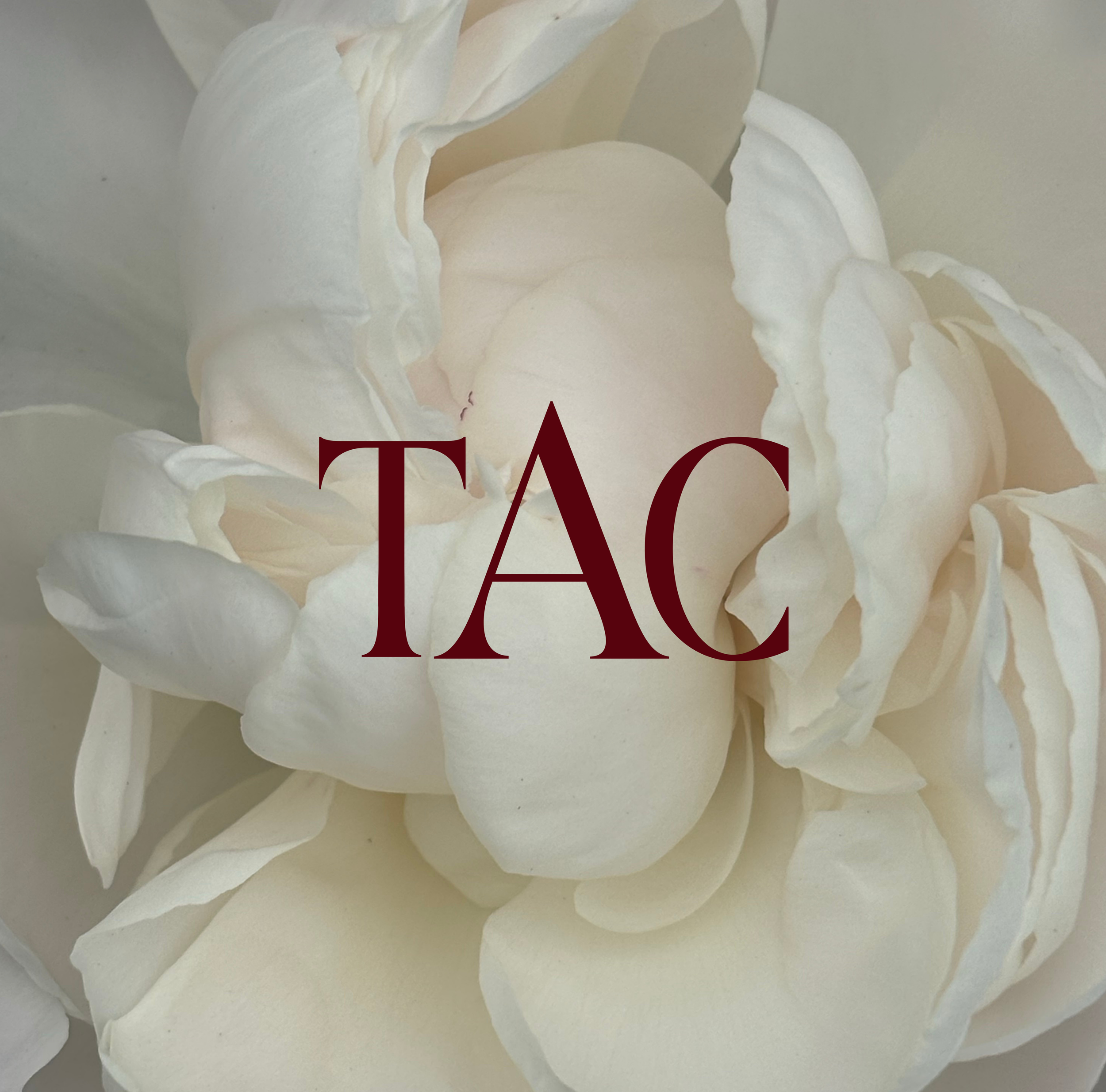 Distinctive logomark variation for an Australian floral studio. Sophisticated visual language positioning contemporary floristry as an expressive medium.