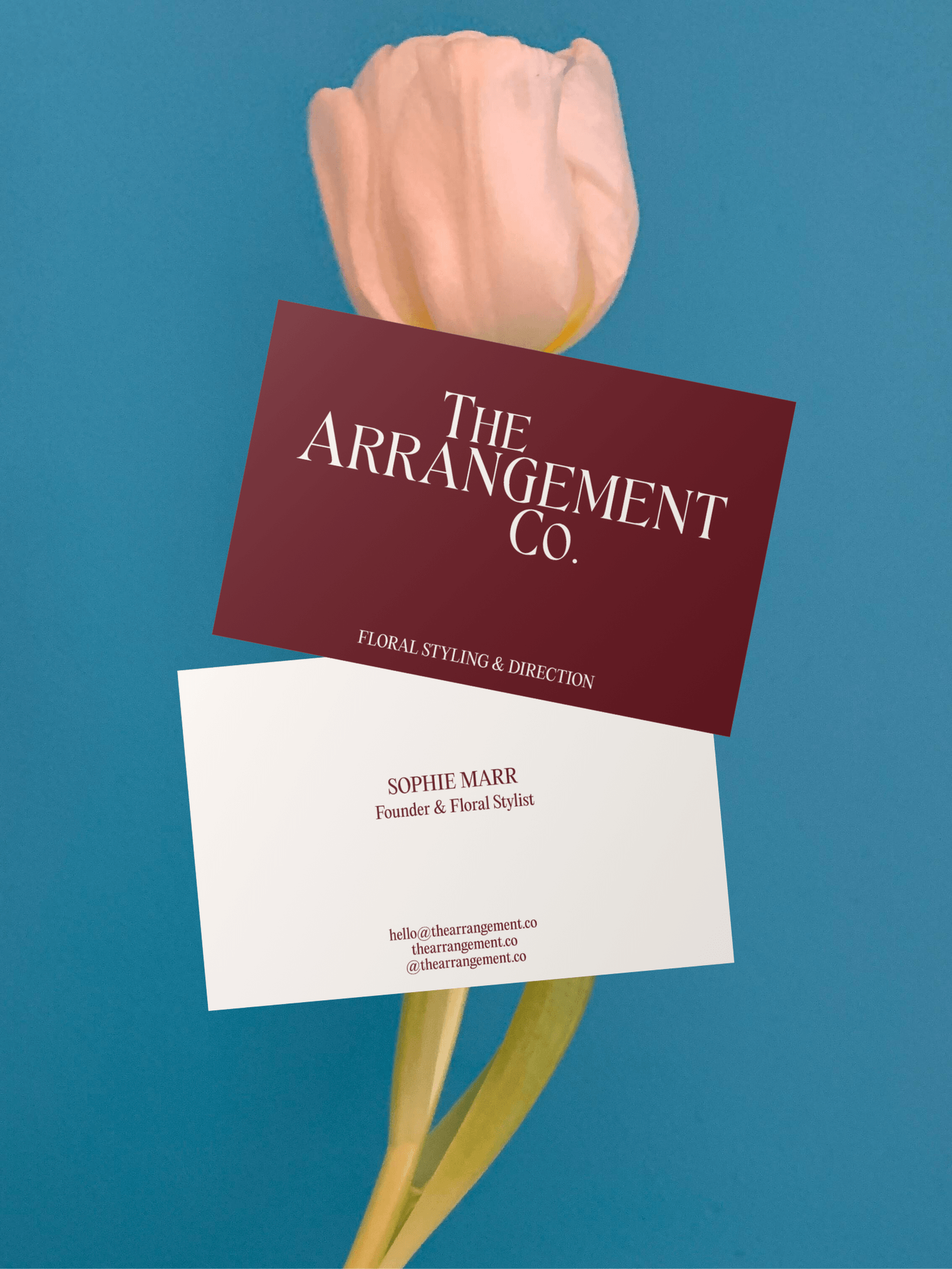 Business card design for a floral studio placed over a pink tulip with a blue background