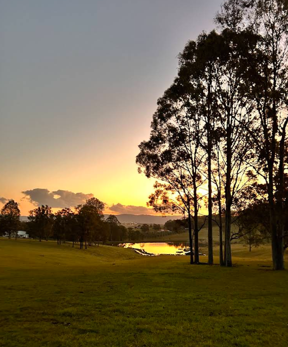 lovedale farm stay cabin