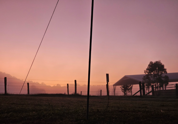 camping at lovedale farm stay tents and caravans