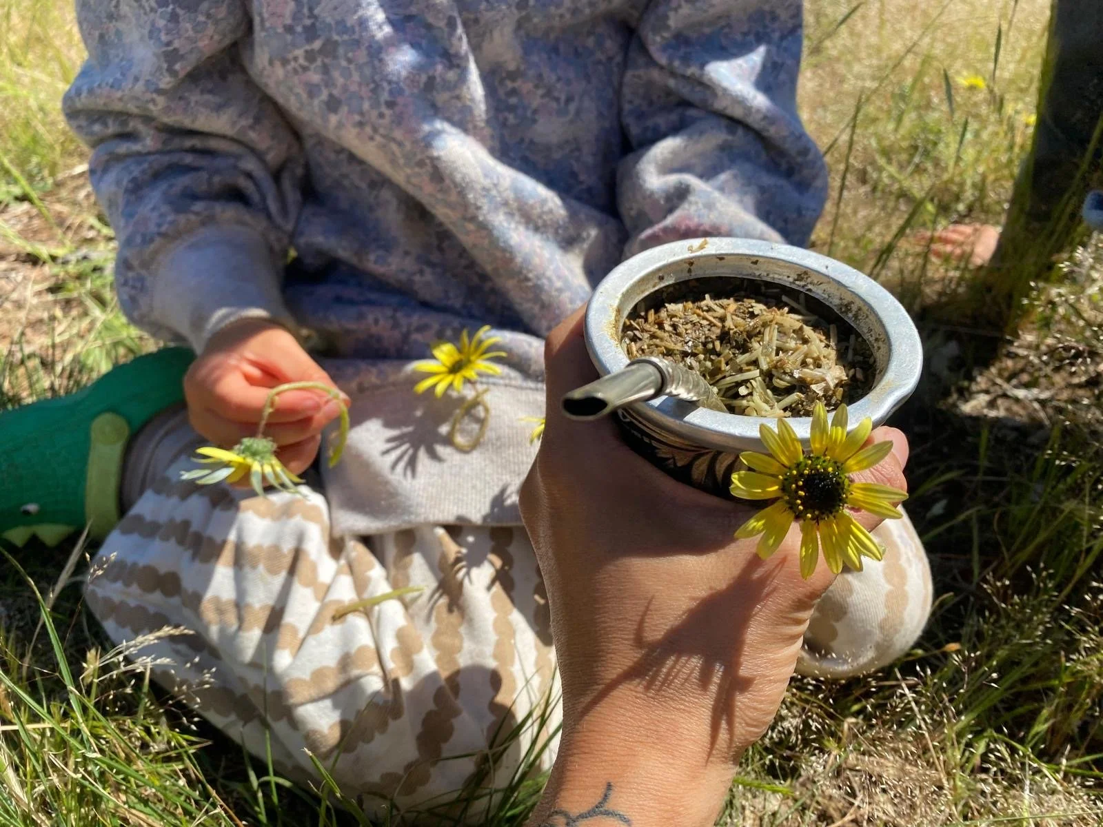 Yerba Máte by Ana.JPG