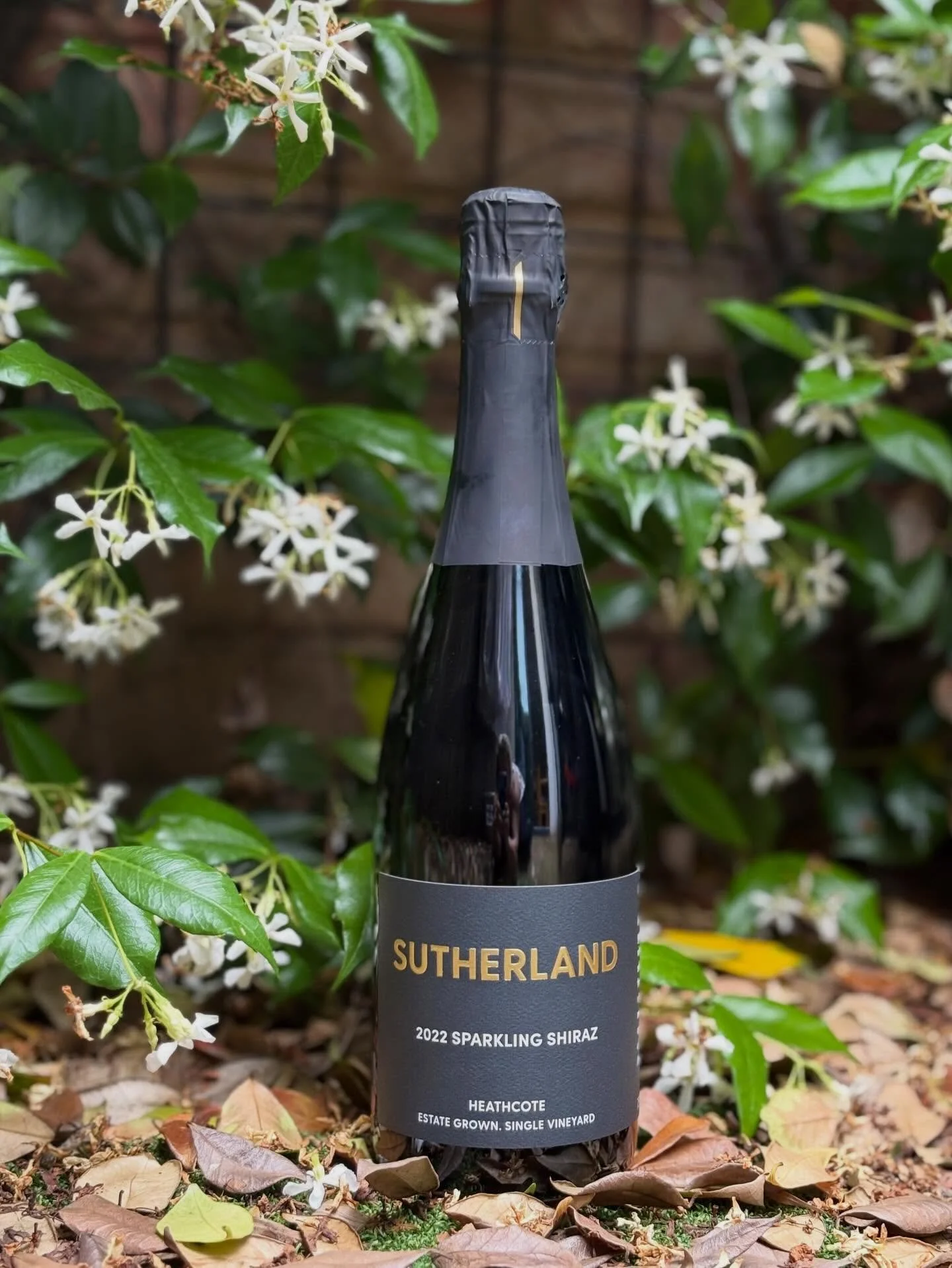 Excited to release our 2022 Sparkling Shiraz! Blackcurrant, cherry and a hint of spice. Delicate bubbles make it perfect for a celebration-best served chilled! Available though our website. Link in Bio #sutherlandshiraz #heathcoteshiraz