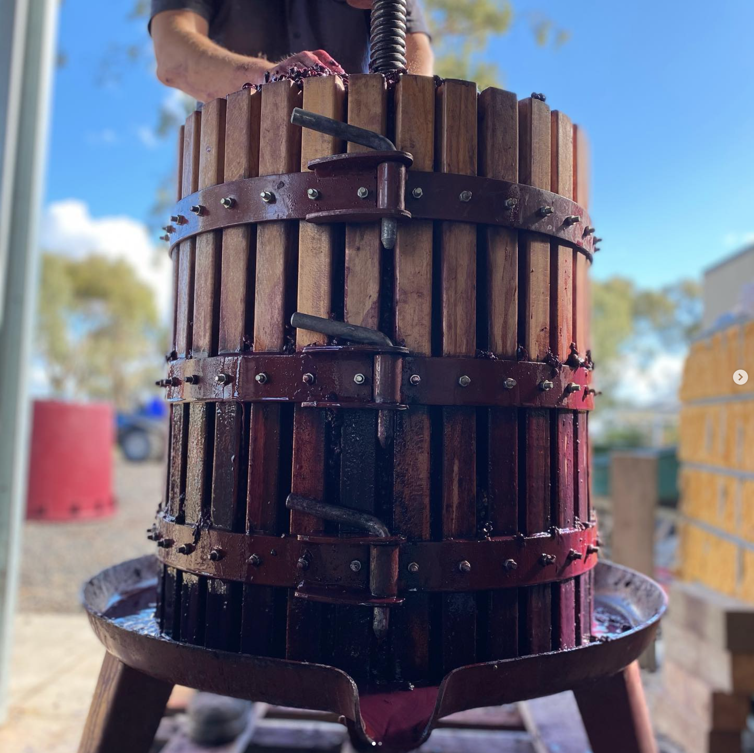 A person using a wine press outdoors, surrounded by trees and a blue sky, with colorful barrels in the background.