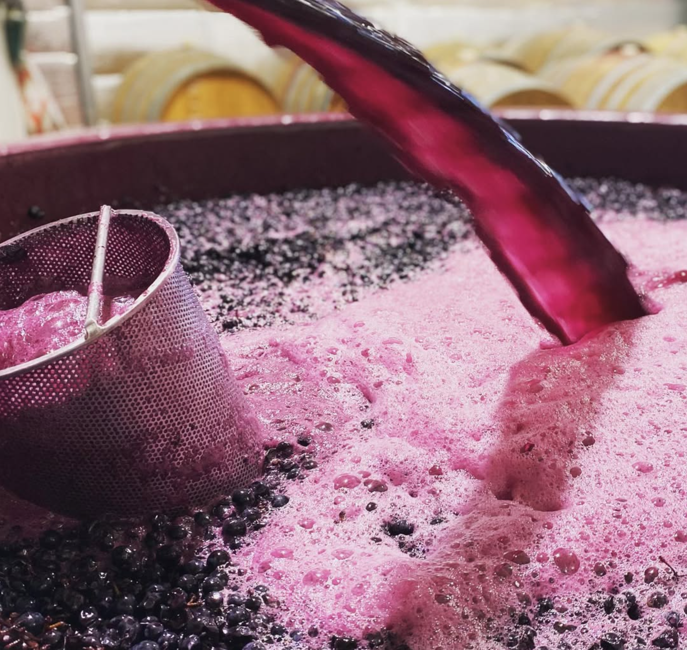 Red wine being poured into a large fermentation tank