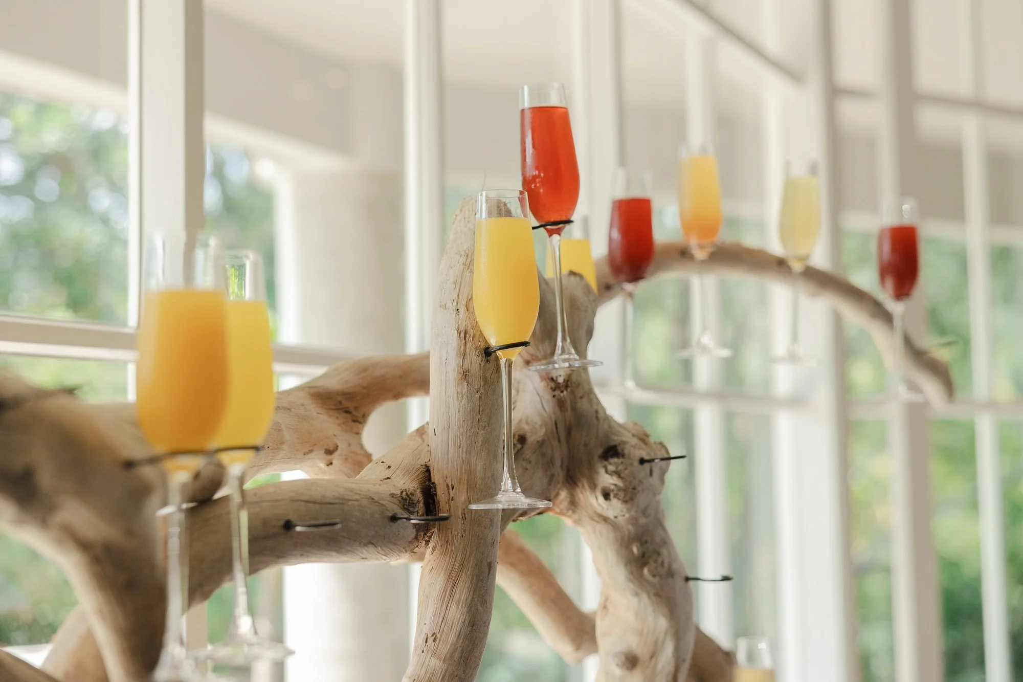 Multiple glasses of colorful beverages on a driftwood display in front of a large window with green scenery outside.