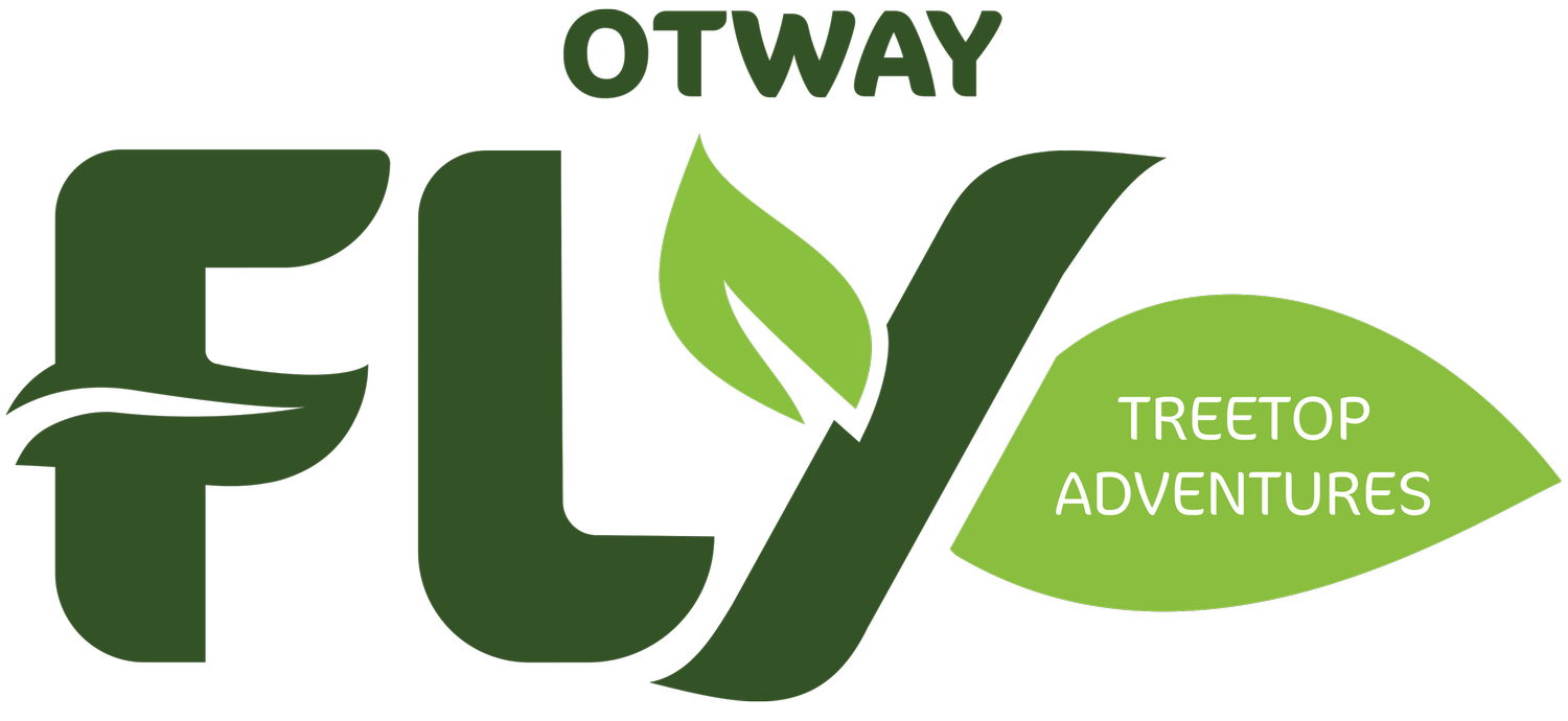 Otway Fly TreeTop Adventures