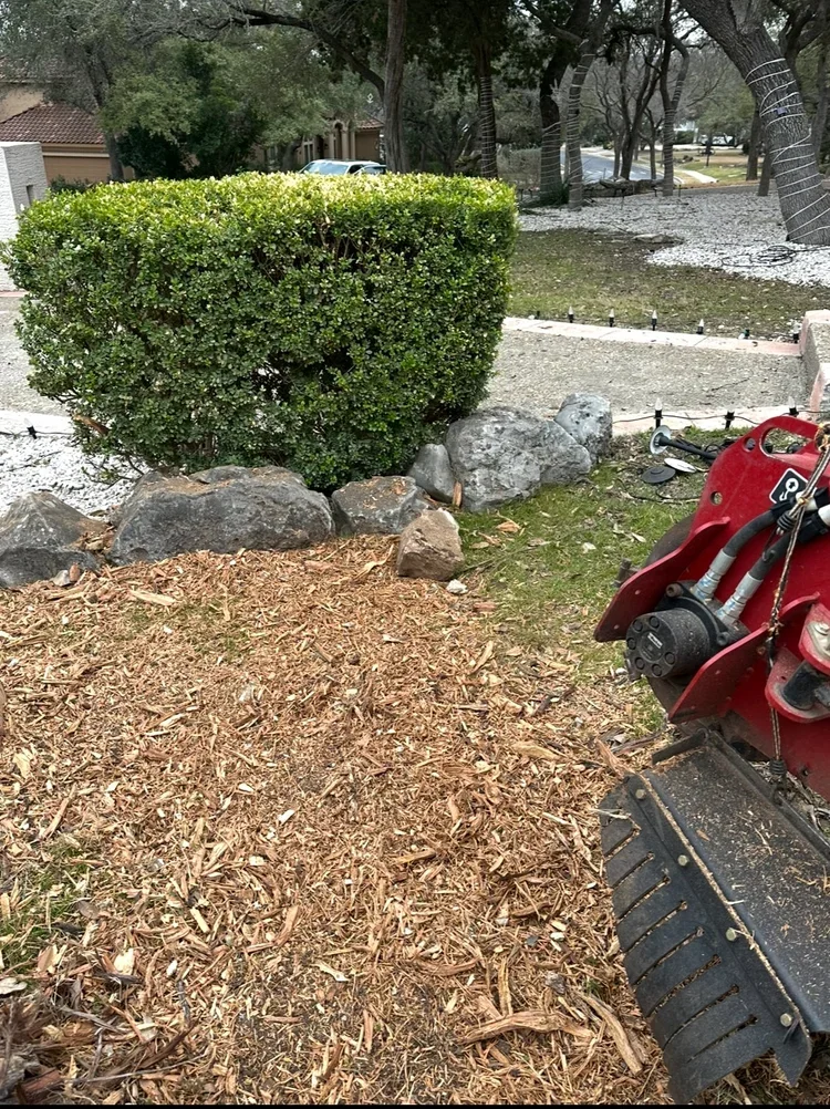 Stump removal in Shavano Park, TX backyard project before stump grinding service by Two Stump Guys
