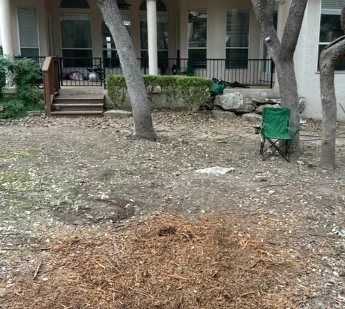 Tree stump removal service in Leon Valley Texas before grinding stump in residential yard