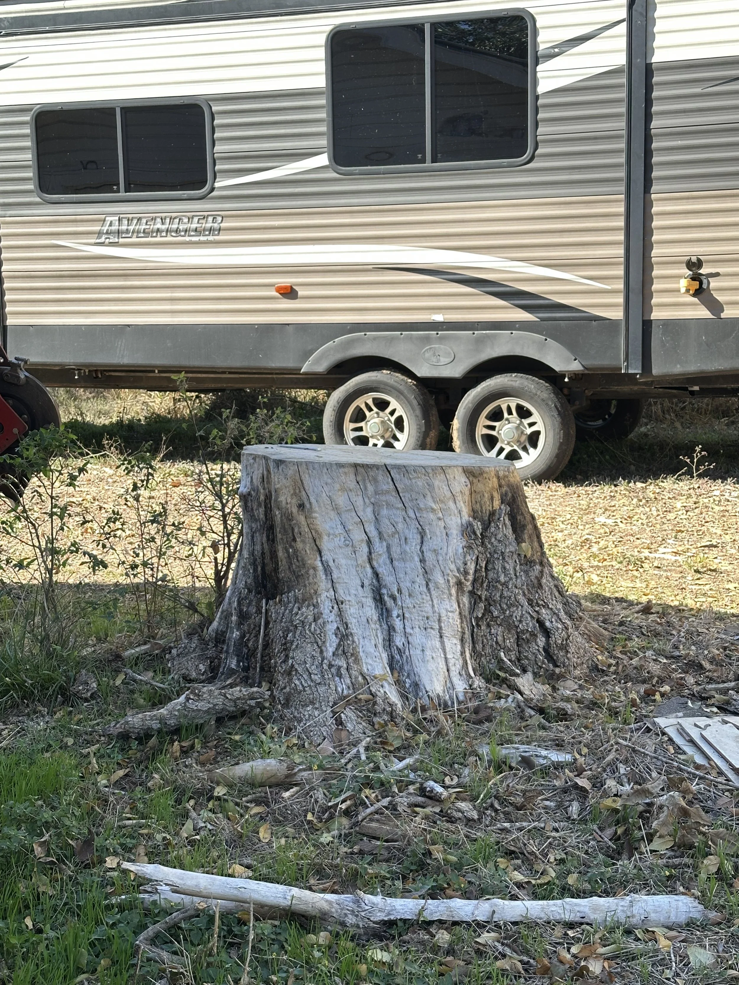 A large tree stump in front of a parked RV with two windows, a side door, and the word "AVENGER" on it. The RV is tan and gray with black tires, set on a grassy area with some leaves and sticks on the ground.