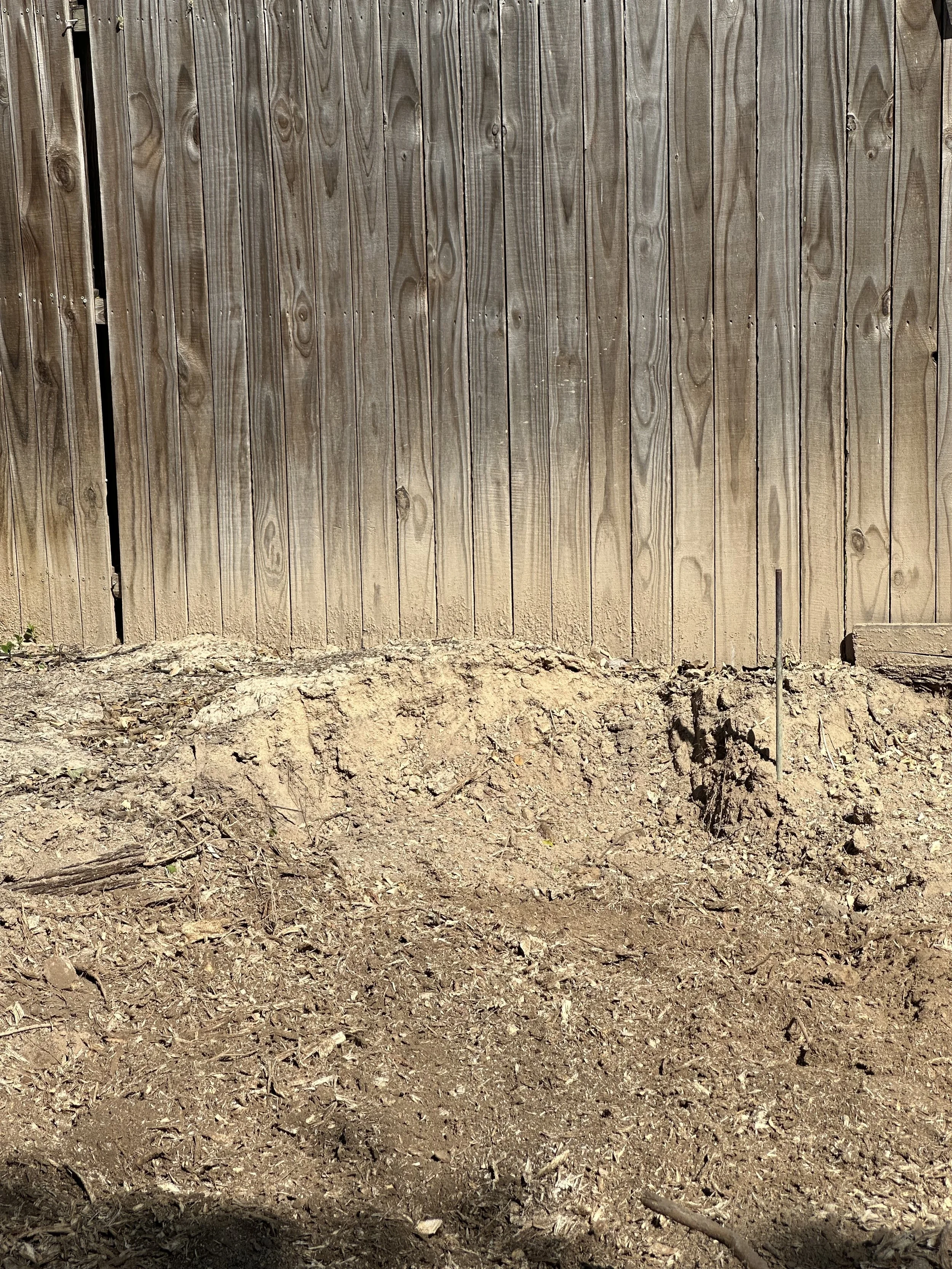 A wooden fence with vertical planks and a patch of disturbed soil in front.