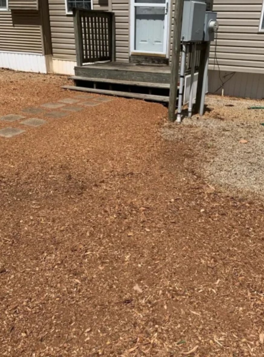 Backyard with a house, small porch, steps, and a pathway made of paving stones, surrounded by mulch and dirt.