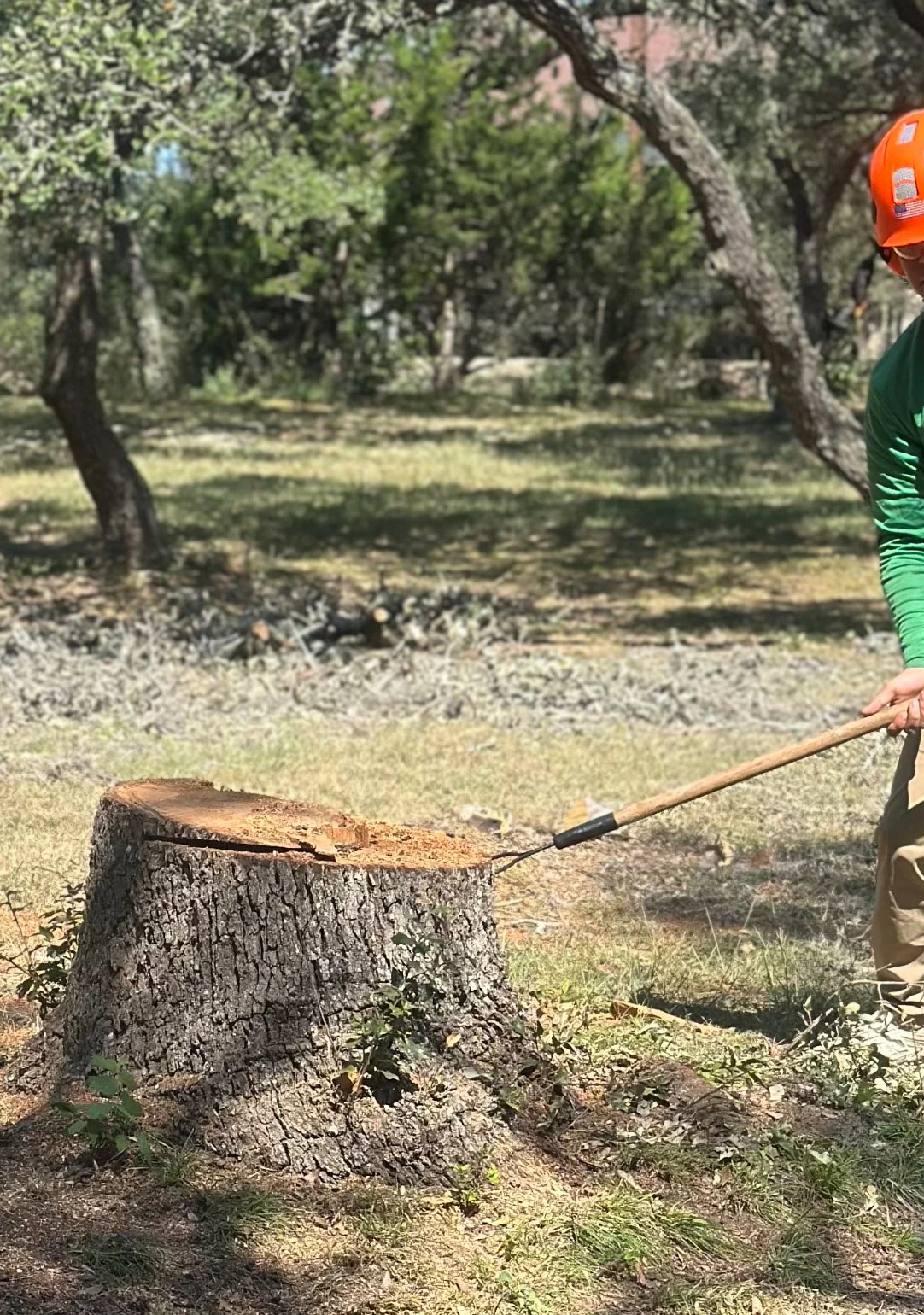 Person wearing an orange helmet and green long-sleeve shirt chopping a tree trunk with a hatchet in a forested area.