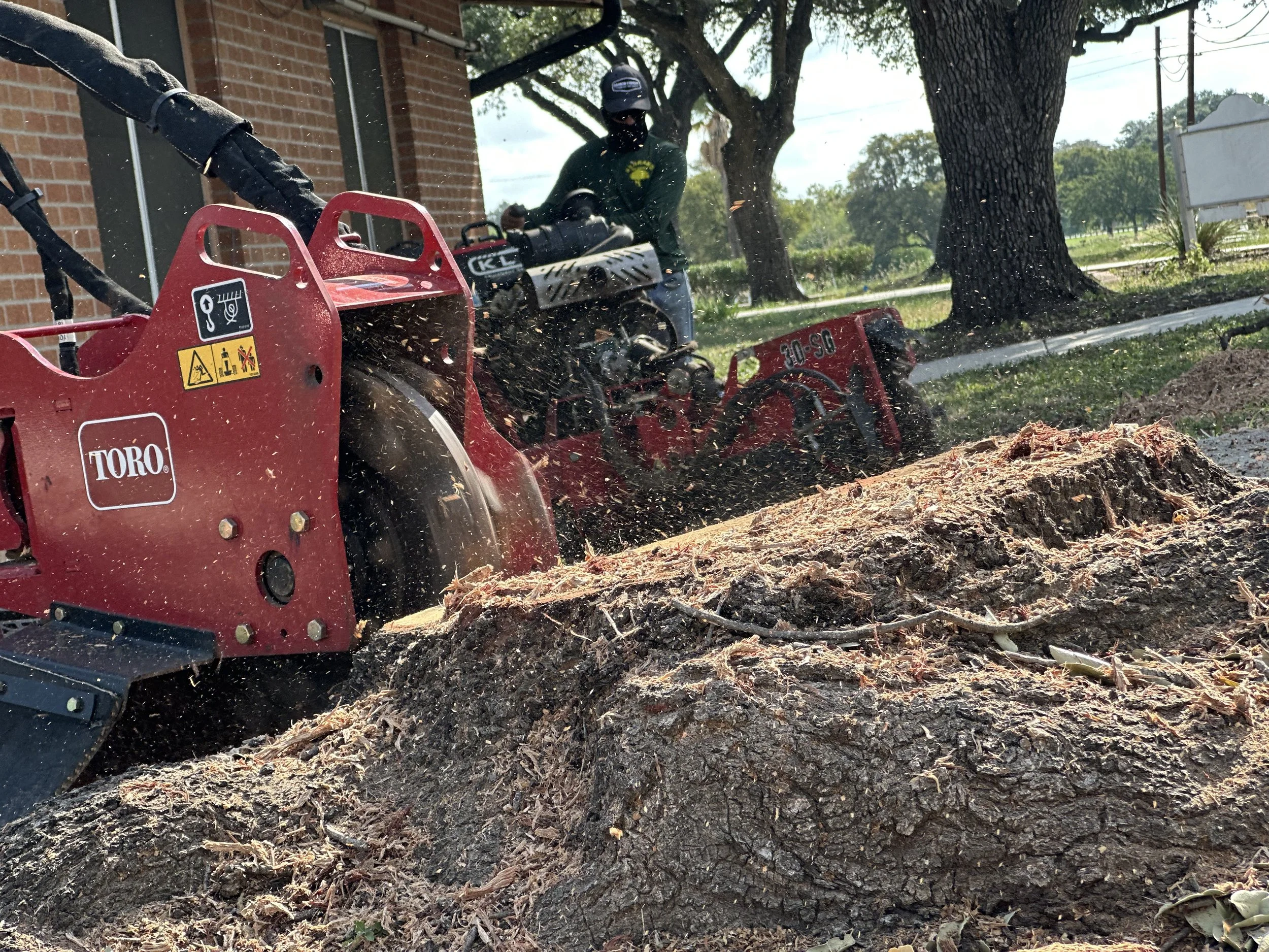 Professional stump removal service
