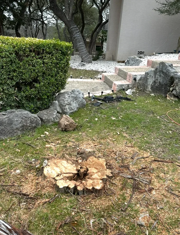 Stump removal in Shavano Park, TX backyard project before stump grinding service by Two Stump Guys
