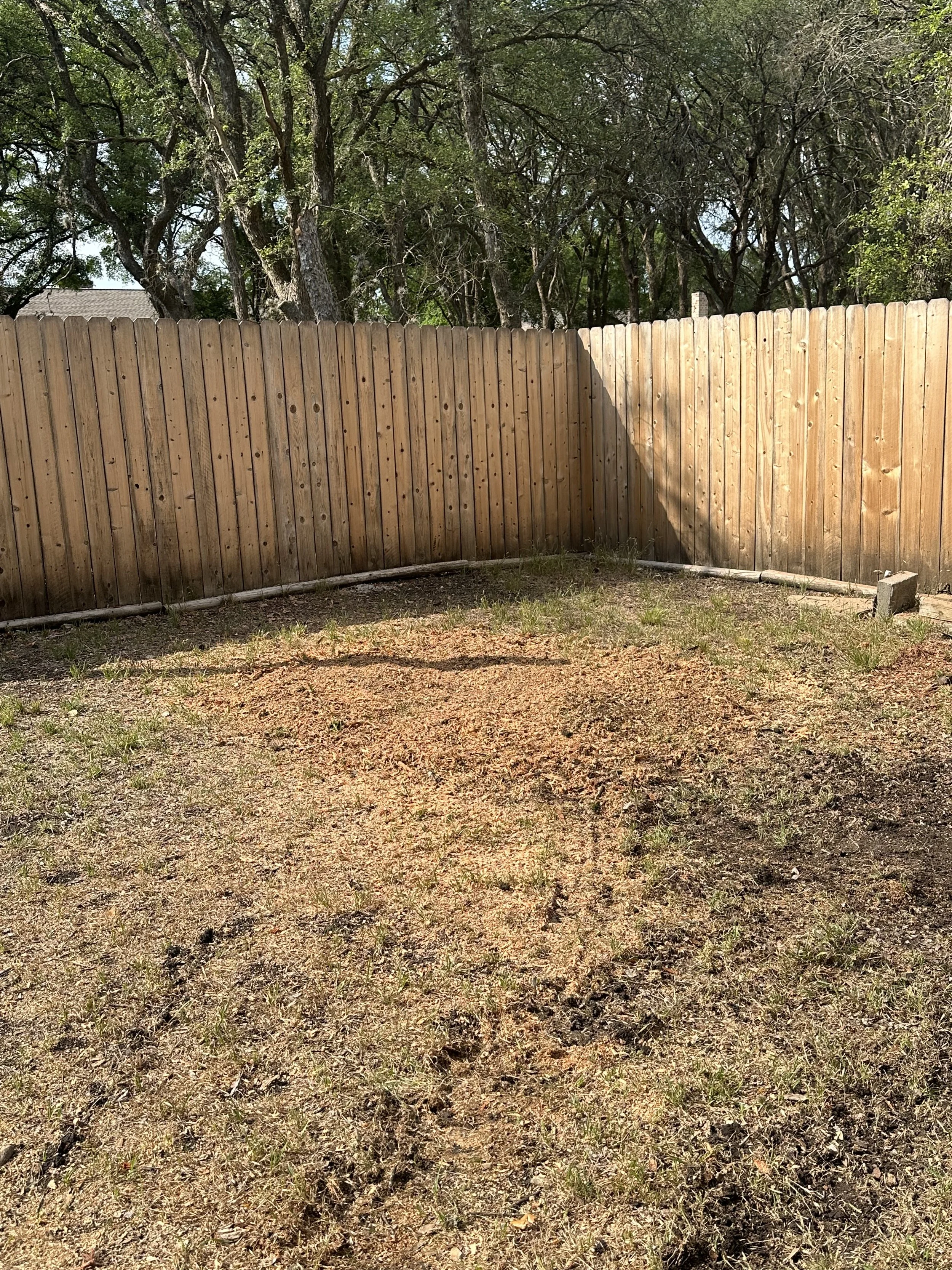 Backyard with a wooden privacy fence, patchy grass, and trees in the background.