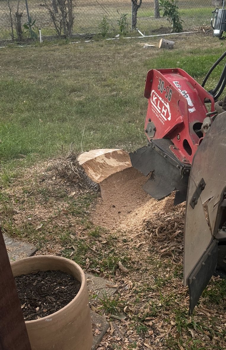 A red stump grinder machine is grinding a tree stump in a yard. Sawdust is visible around the stump, and a large flower pot filled with soil is in the foreground. The yard has grass, some trees, and fencing in the background.