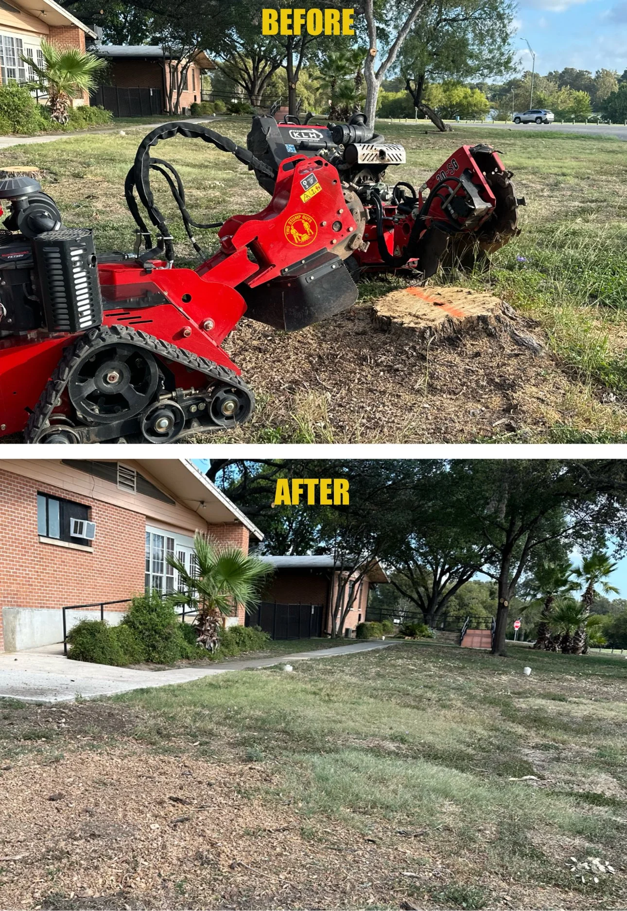 Before and after stump grinding results
