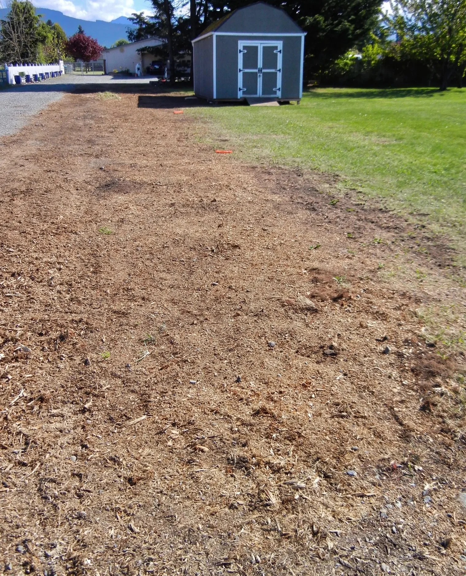 Partially covered dirt path with a small shed and a grassy lawn in the background.