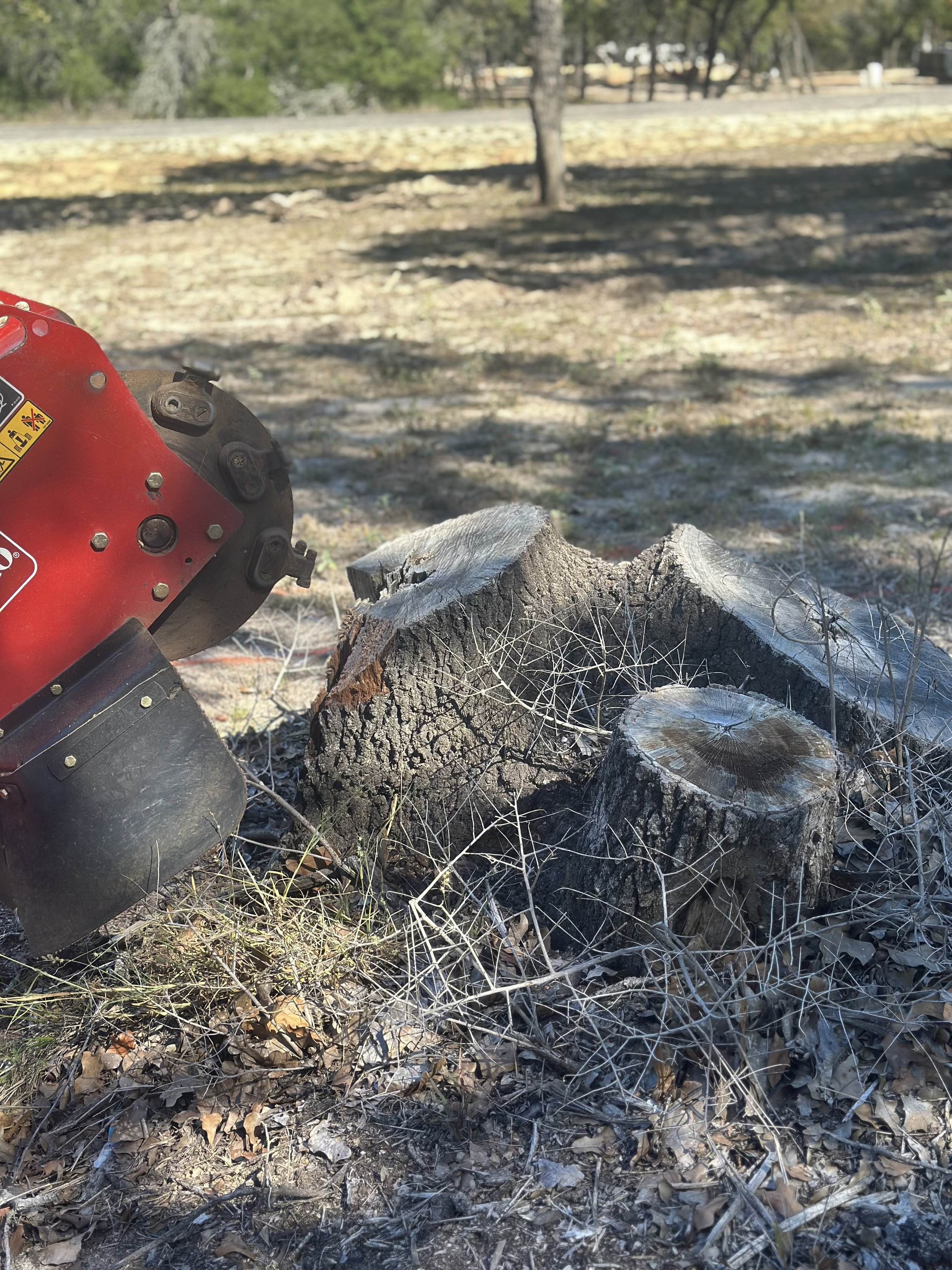 A tree stump on the ground with an electric tree pruner to the left, branches and dry leaves scattered around, and a background of a park or yard with trees and a fence.