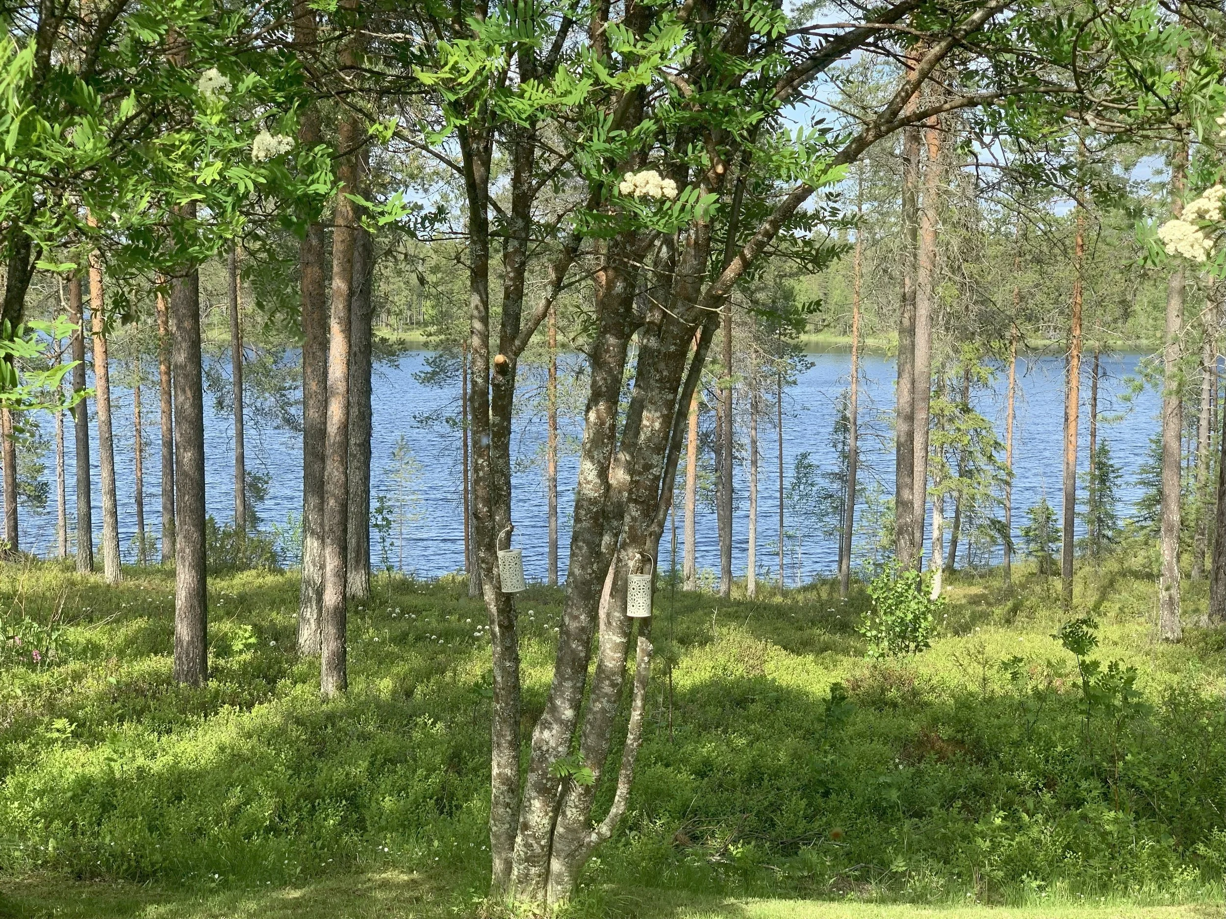 IMG_7162.jpg