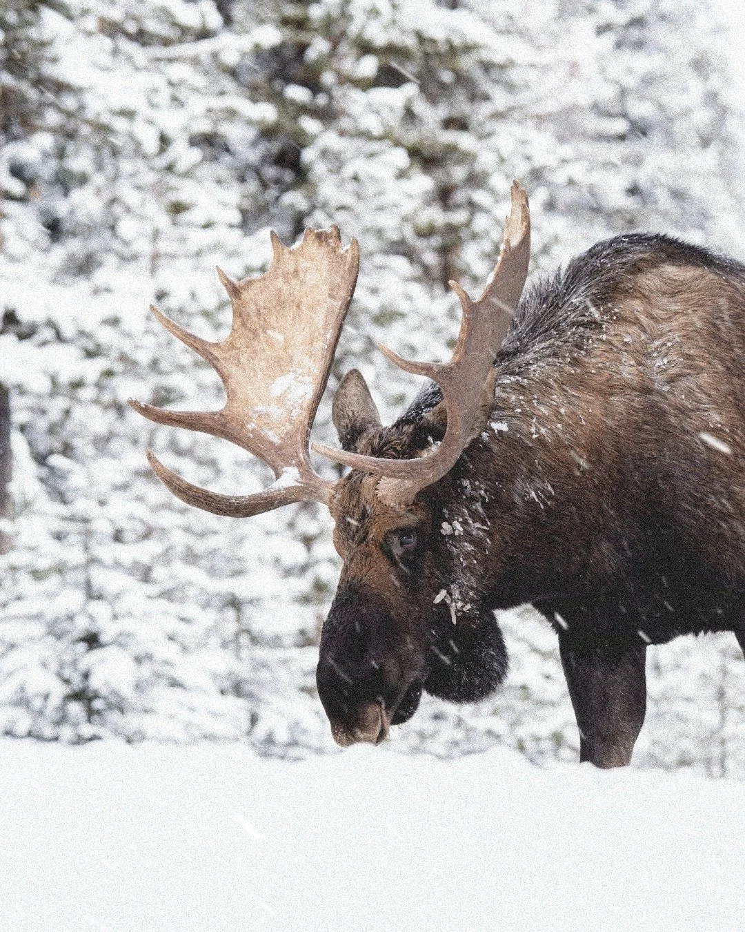 Dear Friend,

We spend our lives without boundaries. We answer emails at the dinner table, and we allow the outer chaos to expand its perimeter into our deepest quiet. We think that by accommodating stress, we are being kind. We are not. We are being