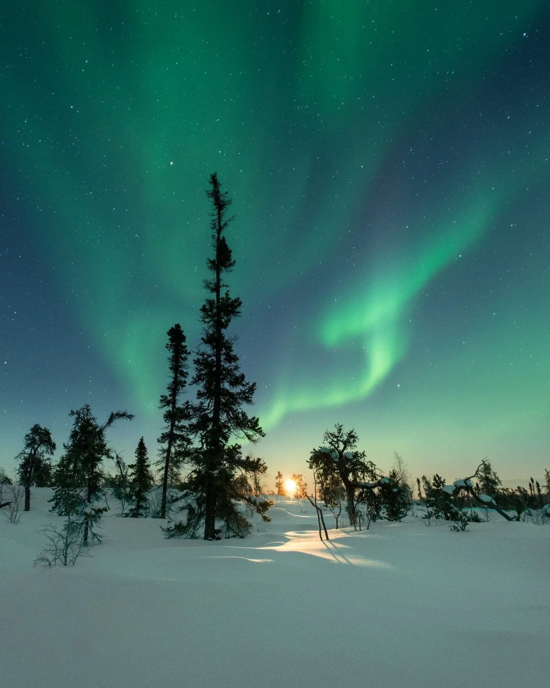 Dear Friend,

We often mistake silence for emptiness, and the dark for a vacuum. But in the long night, the opposite is true. The dark is profoundly full.

It is in this deepest dark that the heavens speak. For us, Guovssahas, the Northern Lights, ar