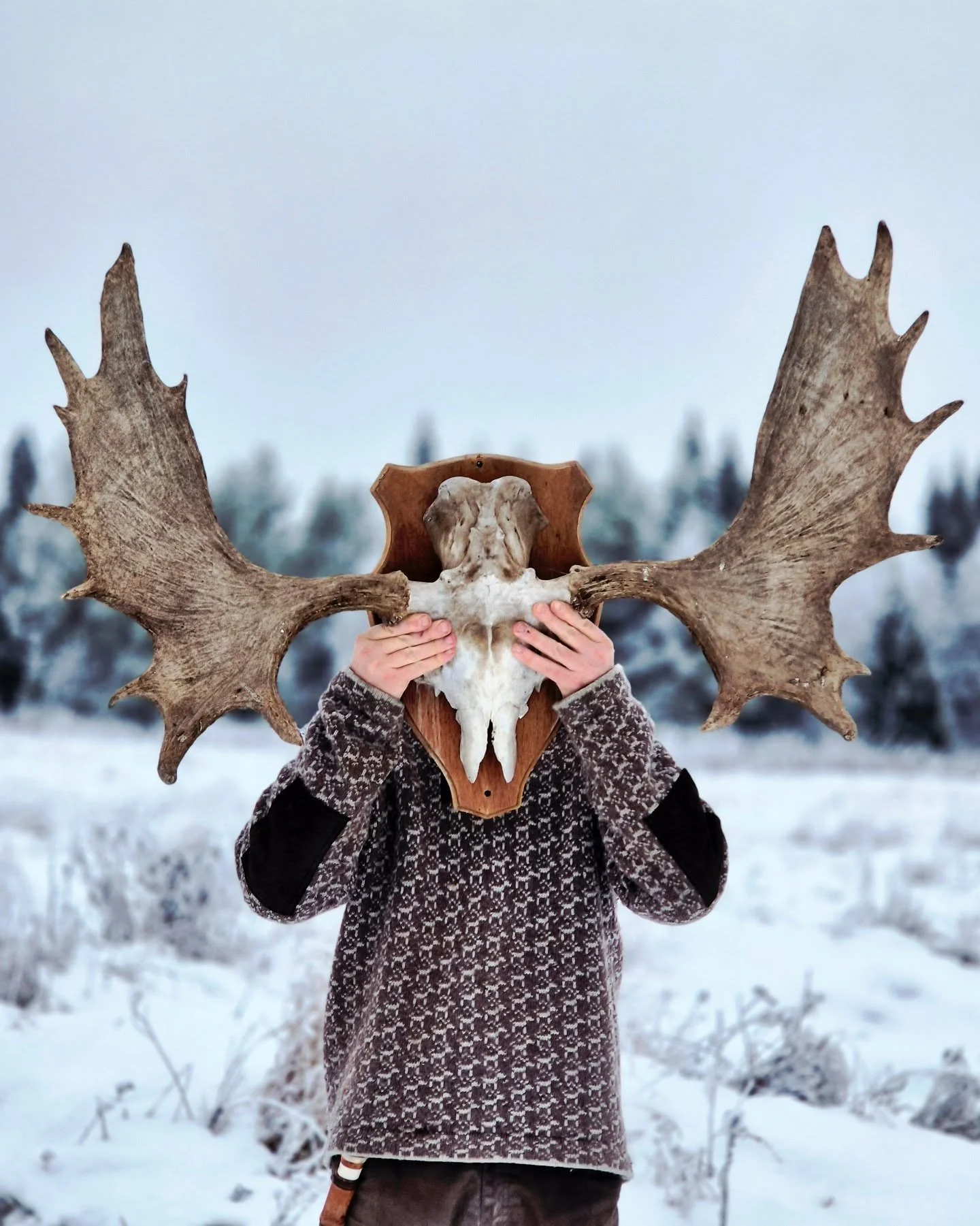 Raw power. Ancient mystery.

There is a special kind of silence that falls when you hold the crown of the Forest King. This skull has seen more sunrises over the marshes than I ever will.

​Now, my task is to honor that life. To bring out the magic h